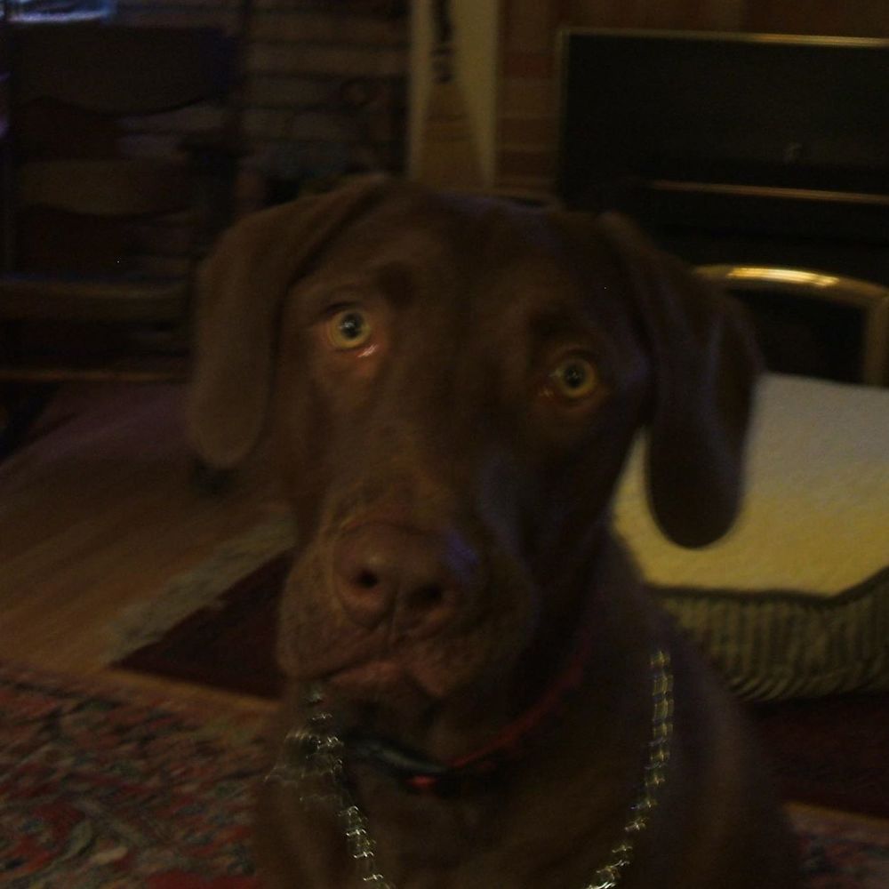 Meet your Posher, Deb